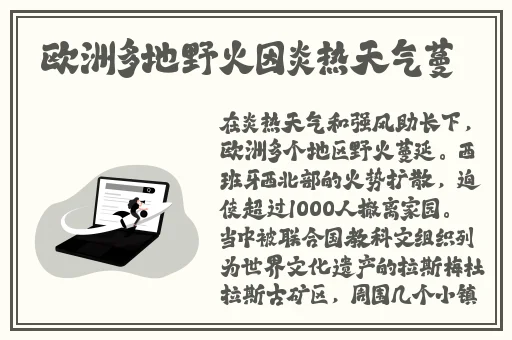 2019年理论片电线
