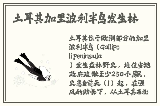 减压舞完整版视频